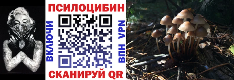 купить закладку  нарко площадка формула  Галлюциногенные грибы прущие грибы  Оханск 